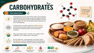 Carbohydrates: Classification, Functions, Sources & Nutritional Importance