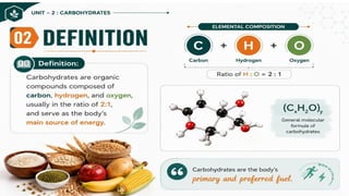 Carbohydrates: Classification, Functions, Sources & Nutritional Importance