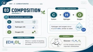 Carbohydrates: Classification, Functions, Sources & Nutritional Importance