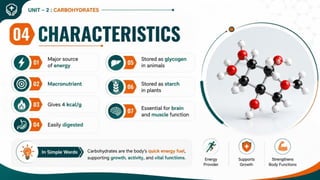 Carbohydrates: Classification, Functions, Sources & Nutritional Importance
