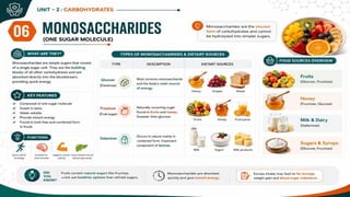 Carbohydrates: Classification, Functions, Sources & Nutritional Importance