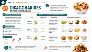 Carbohydrates: Classification, Functions, Sources & Nutritional Importance
