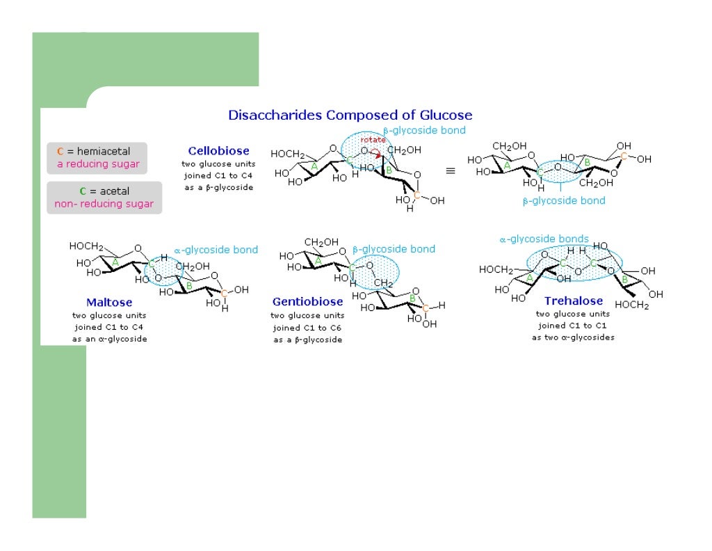 Carbohydrates Biochemistry
