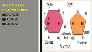 carbohydrates in cell membrane science of life | PPTX