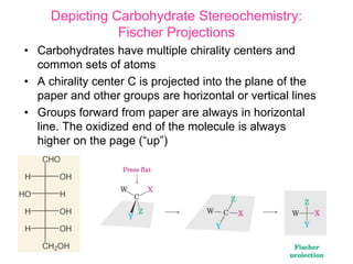 ShorteningShortening
 Fats make cakes and biscuits
crumbly and melt in the
mouth by forming a coating
around the starch and protein
molecules in the flour.
 This stops the liquid coming
into contact with the flour
and helps stop gluten forming.
 Any gluten that does form is
in short lengths not the long
elastic strands found in bread.
 These short gluten strands
give us the term shortening.
 
