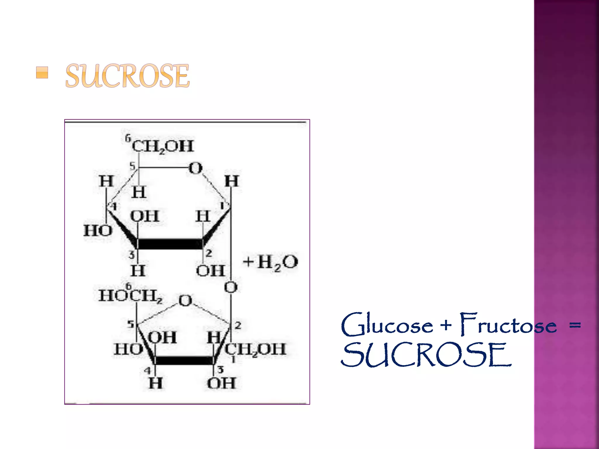 Glucose + Fructose =
SUCROSE
 