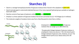 Starches (I)
• Starch is a storage homopolysaccharide of D glucose residues that is found in the cytoplasm of plant cells.
• Starch (and glycogen) is extensively hydrated because it has many exposed hydroxyl groups available to hydrogen-
bond with water.
• Starches consist of two types of polymers called amylose and amylopectin .
• Amylose is a linear polymer of D glucose residues that all are connected via (a1"4) linkages (as in maltose).
• The molecular weights of amylose chains vary from a few thousand to more than a million.
Amylopectin is a branched polymer of D glucose
residues that can weigh up to 200 million Da.
The glycosidic linkages between D glucose residues in
amylopectin chains are also (a1"4) ); the branch point
linkages between D glucose units, however, are (a1"6)
linkages Branch points occur about every 24 to 30
residues.
 