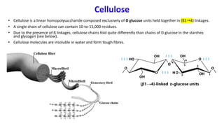 Cellulose
• Cellulose is a linear homopolysaccharide composed exclusively of D glucose units held together in (ß1"4) linkages.
• A single chain of cellulose can contain 10-to-15,000 residues.
• Due to the presence of ß linkages, cellulose chains fold quite differently than chains of D glucose in the starches
and glycogen (see below).
• Cellulose molecules are insoluble in water and form tough fibres.
 