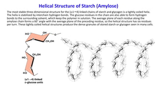 Helical Structure of Starch (Amylose)
The most stable three-dimensional structure for the (a1"4) linked chains of starch and glycogen is a tightly coiled helix.
The helix is stabilized by interchain hydrogen bonds. The glucose residues in the chain are also able to form hydrogen
bonds to the surrounding solvent, which keep the polymer in solution. The average plane of each residue along the
amylose chain forms a 60˚ angle with the average plane of the preceding residue, so the helical structure has six residues
per turn. These tightly coiled helical structures produce the dense granules of stored starch or glycogen seen in many cells.
 