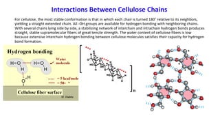 Interactions Between Cellulose Chains
For cellulose, the most stable conformation is that in which each chair is turned 180˚ relative to its neighbors,
yielding a straight extended chain. All -OH groups are available for hydrogen bonding with neighboring chains.
With several chains lying side by side, a stabilizing network of interchain and intrachain hydrogen bonds produces
straight, stable supramolecular fibers of great tensile strength. The water content of cellulose fibers is low
because extensive interchain hydrogen bonding between cellulose molecules satisfies their capacity for hydrogen
bond formation.
 