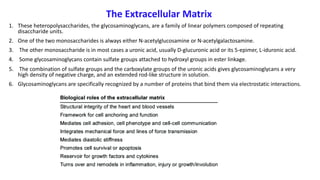 The Extracellular Matrix
1. These heteropolysaccharides, the glycosaminoglycans, are a family of linear polymers composed of repeating
disaccharide units.
2. One of the two monosaccharides is always either N-acetylglucosamine or N-acetylgalactosamine.
3. The other monosaccharide is in most cases a uronic acid, usually D-glucuronic acid or its 5-epimer, L-iduronic acid.
4. Some glycosaminoglycans contain sulfate groups attached to hydroxyl groups in ester linkage.
5. The combination of sulfate groups and the carboxylate groups of the uronic acids gives glycosaminoglycans a very
high density of negative charge, and an extended rod-like structure in solution.
6. Glycosaminoglycans are specifically recognized by a number of proteins that bind them via electrostatic interactions.
 