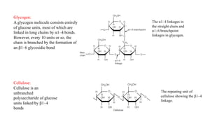 Glycogen:
A glycogen molecule consists entirely
of glucose units, most of which are
linked in long chains by α1–4 bonds.
However, every 10 units or so, the
chain is branched by the formation of
an β1–6 glycosidic bond
Cellulose:
Cellulose is an
unbranched
polysaccharide of glucose
units linked by β1–4
bonds
The repeating unit of
cellulose showing the β1–4
linkage.
The α1–4 linkages in
the straight chain and
α1–6 branchpoint
linkages in glycogen.
 
