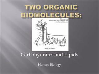 Carbohydrates and Lipids Honors Biology 