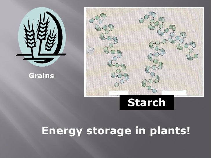 Carbohydrates and lipids