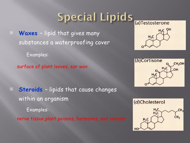 Carbohydrates and lipids