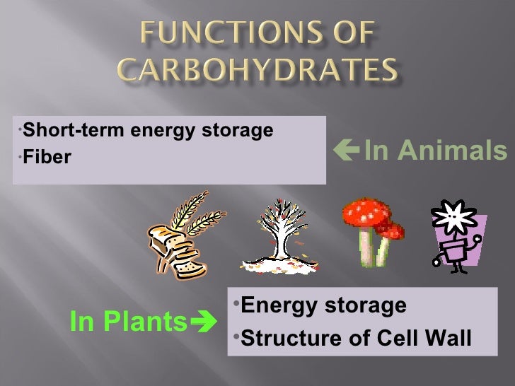 Carbohydrates and lipids