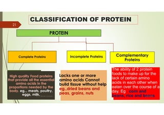 Carbohydrates and proteins | PDF