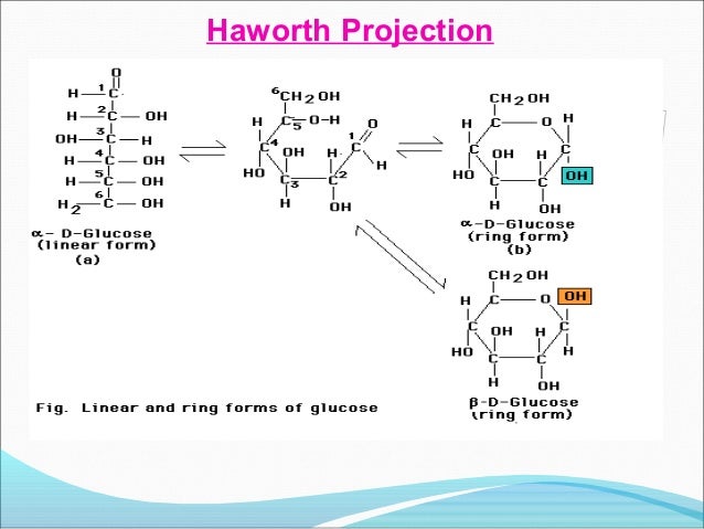 structure b-d-galactose structural polysaccharides and Carbohydrates analysis of structure b-d-galactose structural polysaccharides and Carbohydrates analysis of