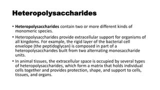 Heteropolysaccharides
• Heteropolysaccharides contain two or more different kinds of
monomeric species.
• Heteropolysaccharides provide extracellular support for organisms of
all kingdoms. For example, the rigid layer of the bacterial cell
envelope (the peptidoglycan) is composed in part of a
heteropolysaccharides built from two alternating monosaccharide
units.
• In animal tissues, the extracellular space is occupied by several types
of heteropolysaccharides, which form a matrix that holds individual
cells together and provides protection, shape, and support to cells,
tissues, and organs.
 