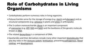 Role of Carbohydrates in Living
Organisms
• Carbohydrates perform numerous roles in living organisms.
Polysaccharides serve for the storage of energy (e.g. starch and glycogen) and as
structural components (e.g. cellulose in plants and chitin in arthropods).
The 5-carbon monosaccharide ribose is an important component
of coenzymes (e.g. ATP, FAD and NAD) and the backbone of the genetic molecule
known as RNA.
The related deoxyribose is a component of DNA.
Saccharides and their derivatives include many other important biomolecules that
play key roles in the immune system, fertilization, preventing pathogenesis, blood
clotting, and development.
 