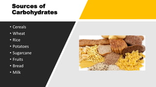 Sources of
Carbohydrates
• Cereals
• Wheat
• Rice
• Potatoes
• Sugarcane
• Fruits
• Bread
• Milk
 