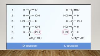 Comprehensive Overview of Carbohydrates: Structure, Classification, and ...