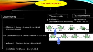 Disaccharide Trisacchraide Tetrasaccharide
Sucrose = Glucose + Fructose, G.L=α-1,2 G.B
(non reducing sugar)
Lactose/Milk sugar =
Maltose =
Isomaltose = 2 Glucose , G.L=α-1,6 G.B
Glucose + Galactose , G.L= β-1,4 G.B
Glucose + Glucose , G.L= α-1,4 G.B
Raffinose =
( Glucose+ Fructose + Galactose)
Stachyose =
2Gala+ Glu+ Fru
H2O
H2O
OLIGOSACHARIDES
 