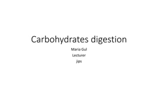 Carbohydrates digestion
Maria Gul
Lecturer
jips
 