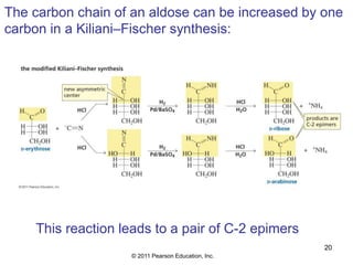 Carbohydrates, types, classification. Fifth sem (1).pdf