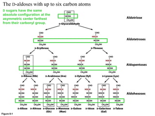 Figure 8-1
The D-aldoses with up to six carbon atoms
D sugars have the same
absolute configuration at the
asymmetric center farthest
from their carbonyl group.
 