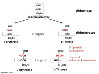 Figure 8-1 part 1
CHO
HOCH
HOCH
CH2OH
CHO
HCOH
HOCH
CH2OH
L-Erythrose L-Threose
2n-2 possible
stereoisomers
Here, n = 4,
so there are 4 stereoisomers
D sugars
L sugars
 
