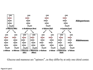 Figure 8-1 part 3
Glucose and mannose are “epimers”, as they differ by at only one chiral center.
 