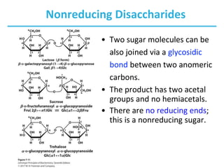 Nonreducing Disaccharides
• Two sugar molecules can be
also joined via a glycosidic
bond between two anomeric
carbons.
• The product has two acetal
groups and no hemiacetals.
• There are no reducing ends;
this is a nonreducing sugar.
 
