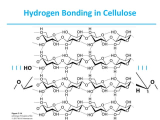 Hydrogen Bonding in Cellulose
 