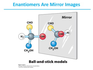 Enantiomers Are Mirror Images
 