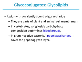 Glycoconjugates: Glycolipids
• Lipids with covalently bound oligosaccharide
– They are parts of plant and animal cell membranes.
– In vertebrates, ganglioside carbohydrate
composition determines blood groups.
– In gram-negative bacteria, lipopolysaccharides
cover the peptidoglycan layer.
 