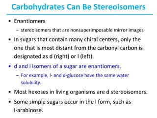 Carbohydrates Can Be Stereoisomers
• Enantiomers
– stereoisomers that are nonsuperimposable mirror images
• In sugars that contain many chiral centers, only the
one that is most distant from the carbonyl carbon is
designated as d (right) or l (left).
• d and l isomers of a sugar are enantiomers.
– For example, l- and d-glucose have the same water
solubility.
• Most hexoses in living organisms are d stereoisomers.
• Some simple sugars occur in the l form, such as
l-arabinose.
 