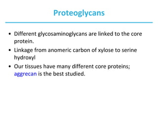 Proteoglycans
• Different glycosaminoglycans are linked to the core
protein.
• Linkage from anomeric carbon of xylose to serine
hydroxyl
• Our tissues have many different core proteins;
aggrecan is the best studied.
 