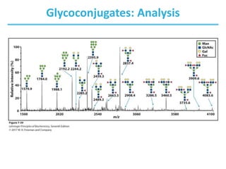 Glycoconjugates: Analysis
 