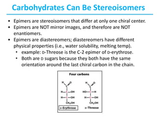 Carbohydrates Can Be Stereoisomers
• Epimers are stereoisomers that differ at only one chiral center.
• Epimers are NOT mirror images, and therefore are NOT
enantiomers.
• Epimers are diastereomers; diastereomers have different
physical properties (i.e., water solubility, melting temp).
• example: D-Threose is the C-2 epimer of D-erythrose.
• Both are D sugars because they both have the same
orientation around the last chiral carbon in the chain.
 