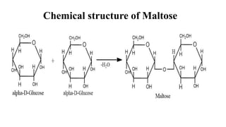 Chemical structure of Maltose
 