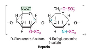 Carbohydrates Introduction, Functions and Classification.pptx