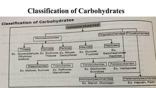 Classification of Carbohydrates
 