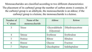Monosaccharides are classified according to two different characteristics:
The placement of its carbonyl group the number of carbon atoms it contains. If
the carbonyl group is an aldehyde, the monosaccharide is an aldose; if the
carbonyl group is a ketone, the monosaccharide is a ketose.
 