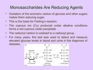 Monosaccharides Are Reducing Agents
• Oxidation of the anomeric carbon of glucose and other sugars
makes them reducing sugar.
• This is the basis for Fehling’s reaction.
• The cuprous ion (Cu) produced under alkaline conditions
forms a red cuprous oxide precipitate.
• The carbonyl carbon is oxidized to a carboxyl group.
• For many years, this test was used to detect and measure
elevated glucose levels in blood and urine in the diagnosis of
diabetes.
 