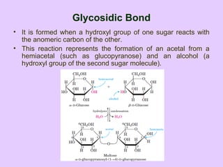 Glycosidic Bond
• It is formed when a hydroxyl group of one sugar reacts with
the anomeric carbon of the other.
• This reaction represents the formation of an acetal from a
hemiacetal (such as glucopyranose) and an alcohol (a
hydroxyl group of the second sugar molecule).
 