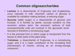 Common oligosaccharides
• Lactose is a disaccharide of D-glucose and D-galactose,
occur naturally in milk. Anomeric carbon of glucose is
available for oxidation making lactose, a reducing sugar.
• Sucrose (table sugar) is a disaccharide of glucose and
fructose. It is formed by plants. sucrose contains no free
anomeric carbon atom; the anomeric carbons of both
monosaccharide units are involved in the glycosidic bond.
Sucrose is therefore a nonreducing sugar.
• It is the principal form in which sugar is transported from the
leaves to other parts of the plant body.
• Trehalose- a disaccharide of D-glucose, is a nonreducing
sugar, and it is a major constituent of the circulating fluid
(hemolymph) of insects, serving as an energy-storage
compound.
 