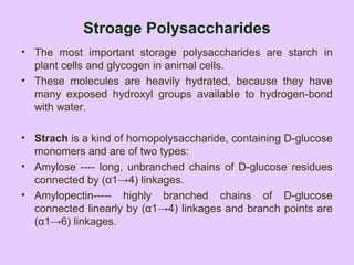 Stroage Polysaccharides
• The most important storage polysaccharides are starch in
plant cells and glycogen in animal cells.
• These molecules are heavily hydrated, because they have
many exposed hydroxyl groups available to hydrogen-bond
with water.
• Strach is a kind of homopolysaccharide, containing D-glucose
monomers and are of two types:
• Amylose ---- long, unbranched chains of D-glucose residues
connected by (α1→4) linkages.
• Amylopectin----- highly branched chains of D-glucose
connected linearly by (α1→4) linkages and branch points are
(α1→6) linkages.
 