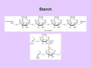 Starch
 