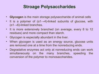 Stroage Polysaccharides
• Glycogen is the main storage polysaccharide of animal cells
• It is a polymer of (α1→4)-linked subunits of glucose, with
(α1→6)-linked branches.
• It is more extensively branched (on average, every 8 to 12
residues) and more compact than starch.
• Glycogen is especially abundant in the liver.
• When glycogen is used as an energy source, glucose units
are removed one at a time from the nonreducing ends.
• Degradative enzymes act only at nonreducing ends can work
simultaneously on the many branches, speeding the
conversion of the polymer to monosaccharides.
 